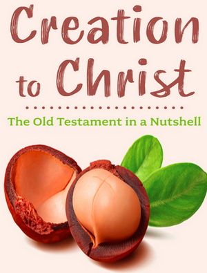 From Creation to Christ